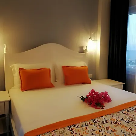 Apart Otel Mavi Kıyı 2*