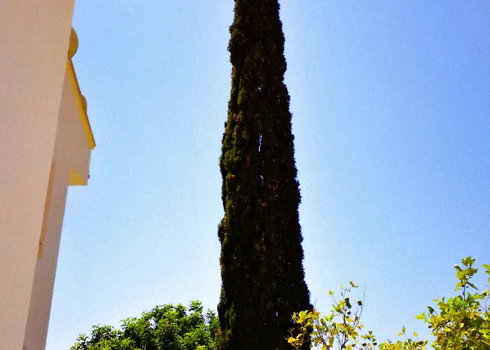 Mavi Kiyi Aparthotel Kas